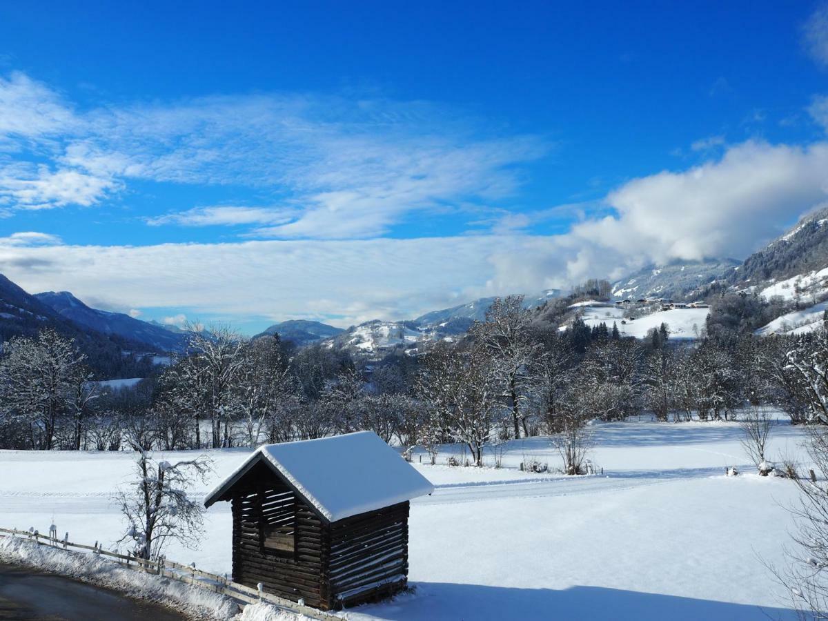 Rohrmoser Appartements Sankt Johann im Pongau Eksteriør billede